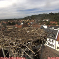 15_00-nest.jpg