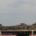 15_05-mast.jpg