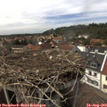 15_05-nest.jpg