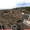 15_10-nest.jpg