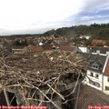 15_15-nest.jpg