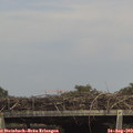 15_20-mast.jpg