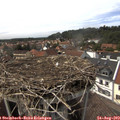 15_20-nest.jpg