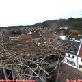 15_25-nest.jpg