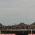 15_30-mast.jpg