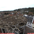 15_30-nest.jpg