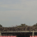 15_35-mast.jpg