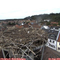 15_35-nest.jpg