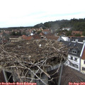 15_40-nest.jpg