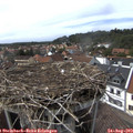15_45-nest.jpg
