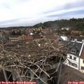 15_50-nest.jpg