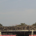 15_55-mast.jpg