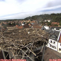 15_55-nest.jpg