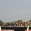 16_00-mast.jpg