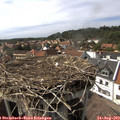 16_00-nest.jpg