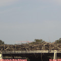 16_05-mast.jpg