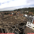 16_05-nest.jpg