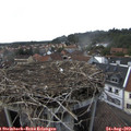 16_10-nest.jpg