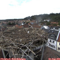 16_15-nest.jpg