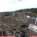 16_20-nest.jpg