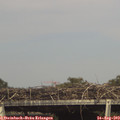16_25-mast.jpg