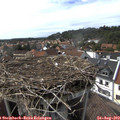 16_25-nest.jpg