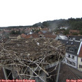 16_40-nest.jpg