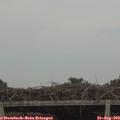 16_45-mast.jpg
