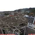 16_45-nest.jpg