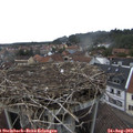 16_50-nest.jpg