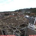 17_15-nest.jpg