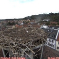17_20-nest.jpg