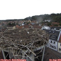 17_25-nest.jpg