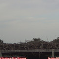 17_30-mast.jpg