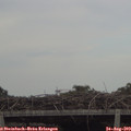 17_35-mast.jpg