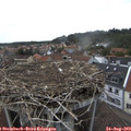 17_40-nest.jpg
