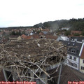 17_45-nest.jpg
