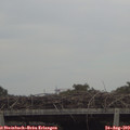 17_50-mast.jpg