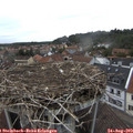 17_50-nest.jpg