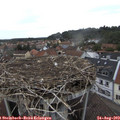 17_55-nest.jpg