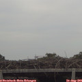 18_00-mast.jpg
