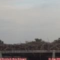 18_10-mast.jpg