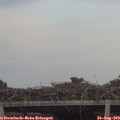 18_15-mast.jpg
