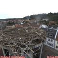 18_15-nest.jpg