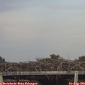 18_20-mast.jpg