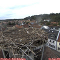 18_20-nest.jpg