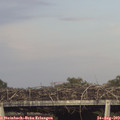 18_25-mast.jpg