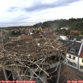 18_25-nest.jpg