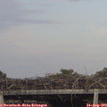18_30-mast.jpg