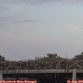 18_35-mast.jpg